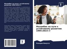 Buchcover von Мозамбик на пути к устойчивому развитию 1994-2014 гг