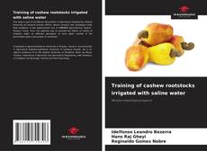 Couverture de Training of cashew rootstocks irrigated with saline water