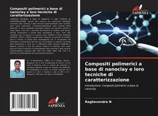 Portada del libro de Compositi polimerici a base di nanoclay e loro tecniche di caratterizzazione