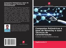 Portada del libro de Compostos Poliméricos à base de Nanoclay e suas Técnicas de Caracterização