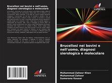 Couverture de Brucellosi nei bovini e nell'uomo, diagnosi sierologica e molecolare