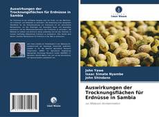 Portada del libro de Auswirkungen der Trocknungsflächen für Erdnüsse in Sambia