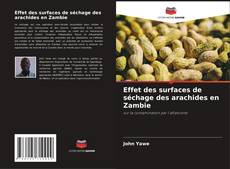 Capa do livro de Effet des surfaces de séchage des arachides en Zambie 