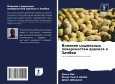 Bookcover of Влияние сушильных поверхностей арахиса в Замбии