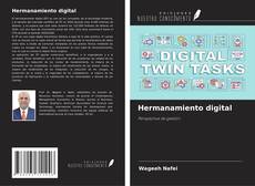 Hermanamiento digital kitap kapağı