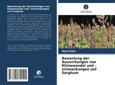 Capa do livro de Bewertung der Auswirkungen von Klimawandel und -schwankungen auf Sorghum 