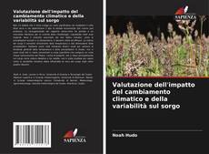 Bookcover of Valutazione dell'impatto del cambiamento climatico e della variabilità sul sorgo