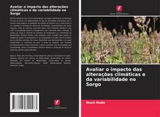 Portada del libro de Avaliar o impacto das alterações climáticas e da variabilidade no Sorgo