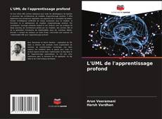 Bookcover of L'UML de l'apprentissage profond
