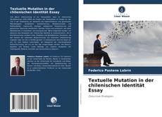 Textuelle Mutation in der chilenischen Identität Essay kitap kapağı