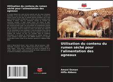 Buchcover von Utilisation du contenu du rumen séché pour l'alimentation des agneaux