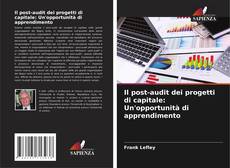 Capa do livro de Il post-audit dei progetti di capitale: Un'opportunità di apprendimento 