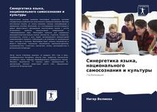 Portada del libro de Синергетика языка, национального самосознания и культуры