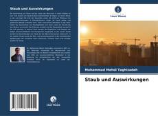 Capa do livro de Staub und Auswirkungen 