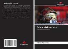 Capa do livro de Public civil service 