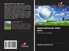 Apprendimento della pace kitap kapağı