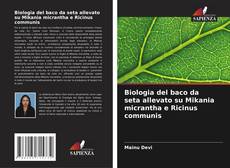 Couverture de Biologia del baco da seta allevato su Mikania micrantha e Ricinus communis