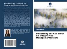 Umsetzung der CSR durch ein integriertes Managementsystem kitap kapağı