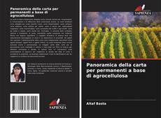 Capa do livro de Panoramica della carta per permanenti a base di agrocellulosa 