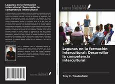 Buchcover von Lagunas en la formación intercultural: Desarrollar la competencia intercultural
