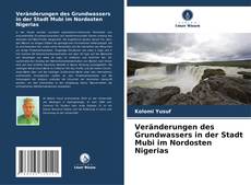 Bookcover of Veränderungen des Grundwassers in der Stadt Mubi im Nordosten Nigerias