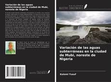 Capa do livro de Variación de las aguas subterráneas en la ciudad de Mubi, noreste de Nigeria 