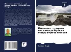 Buchcover von Изменение грунтовых вод в городе Муби на северо-востоке Нигерии