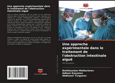 Capa do livro de Une approche expérimentale dans le traitement de l'obstruction intestinale aiguë 