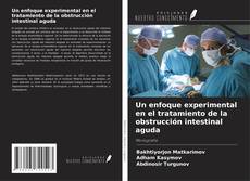 Couverture de Un enfoque experimental en el tratamiento de la obstrucción intestinal aguda