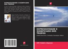 Borítókép a  EXPRESSIVIDADE E SIGNIFICADO DOS TROPOS - hoz