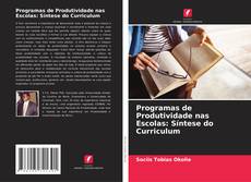 Programas de Produtividade nas Escolas: Síntese do Curriculum kitap kapağı