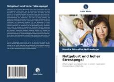 Portada del libro de Notgeburt und hoher Stresspegel