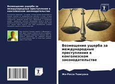 Возмещение ущерба за международные преступления в конголезском законодательстве kitap kapağı