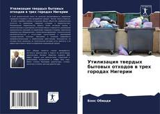 Обложка Утилизация твердых бытовых отходов в трех городах Нигерии