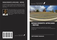 RENACIMIENTO AFRICANO - NEPAD kitap kapağı