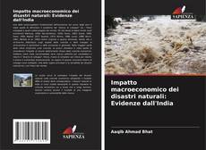 Capa do livro de Impatto macroeconomico dei disastri naturali: Evidenze dall'India 