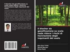 Bookcover of Il biochar da gassificazione su scala reale riduce i rischi di lisciviazione degli inquinanti del suolo