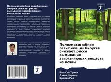 Buchcover von Полномасштабная газификация биоугля снижает риски вымывания загрязняющих веществ из почвы