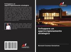 Portada del libro de Sviluppare un approvvigionamento strategico