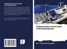 Buchcover von Управление качеством электроэнергии