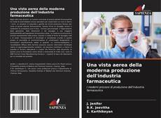 Bookcover of Una vista aerea della moderna produzione dell'industria farmaceutica