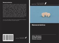 Buchcover von Nanocerámica