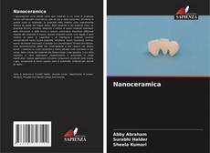 Nanoceramica kitap kapağı