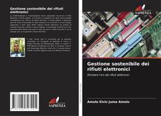 Gestione sostenibile dei rifiuti elettronici kitap kapağı