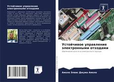 Bookcover of Устойчивое управление электронными отходами