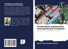 Couverture de Устойчивое управление электронными отходами