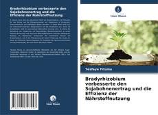 Portada del libro de Bradyrhizobium verbesserte den Sojabohnenertrag und die Effizienz der Nährstoffnutzung