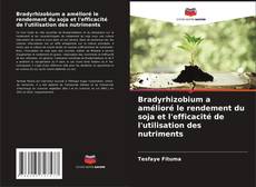 Bradyrhizobium a amélioré le rendement du soja et l'efficacité de l'utilisation des nutriments的封面