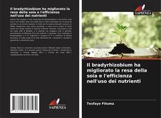 Portada del libro de Il bradyrhizobium ha migliorato la resa della soia e l'efficienza nell'uso dei nutrienti