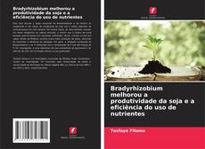 Обложка Bradyrhizobium melhorou a produtividade da soja e a eficiência do uso de nutrientes